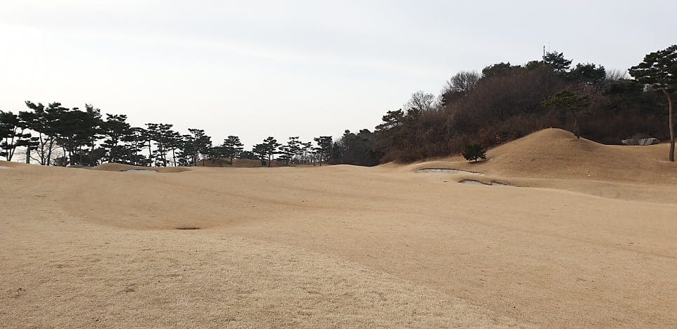 벨라코스 8번홀 세컨샷 지점에서 본 그린