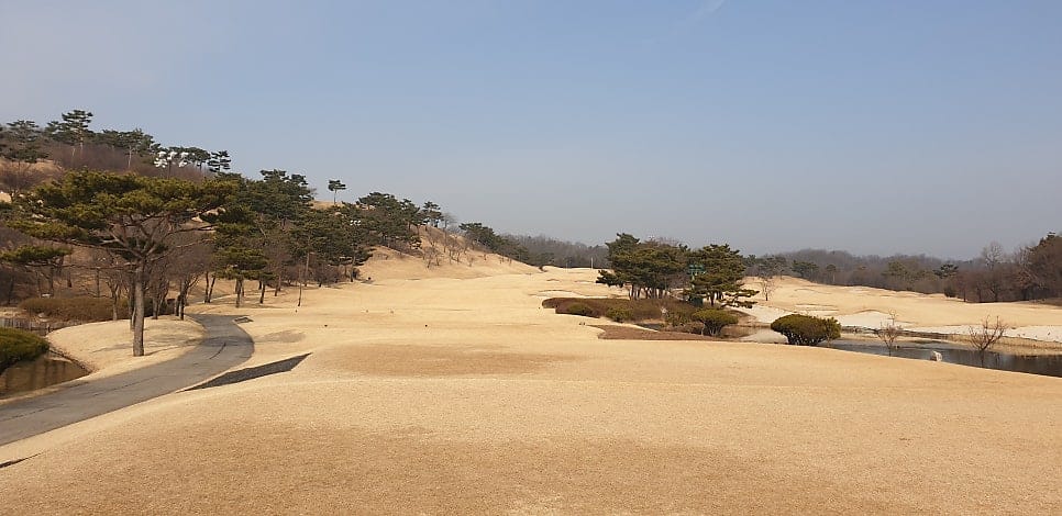 라고코스 3번홀 파5 전경