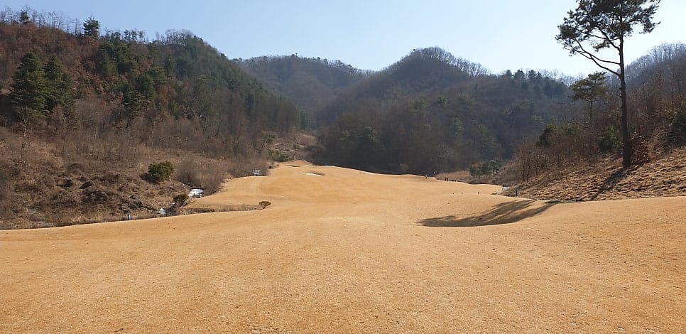 세컨샷 지점