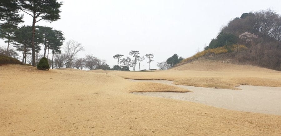 남코스 1번홀 서드샷 지점