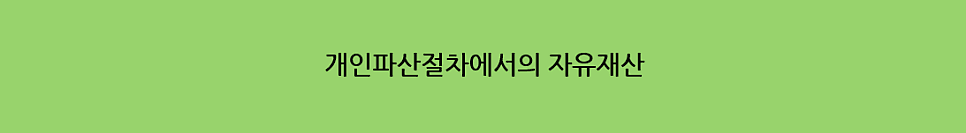 개인파산절차에서의 자유재산