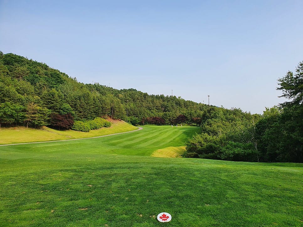 동코스 3번롤 파3