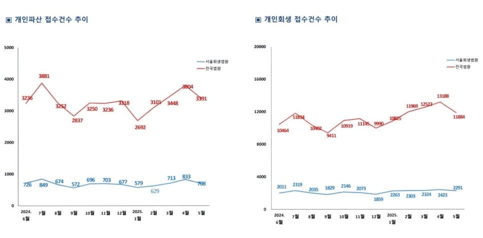 2025년 5월 기준 개인파산 및 개인회생 사건의 동향